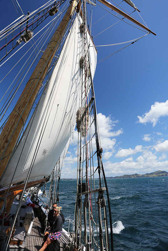 Sail on the R Tucker Thompson, Bay of Islands, NZ